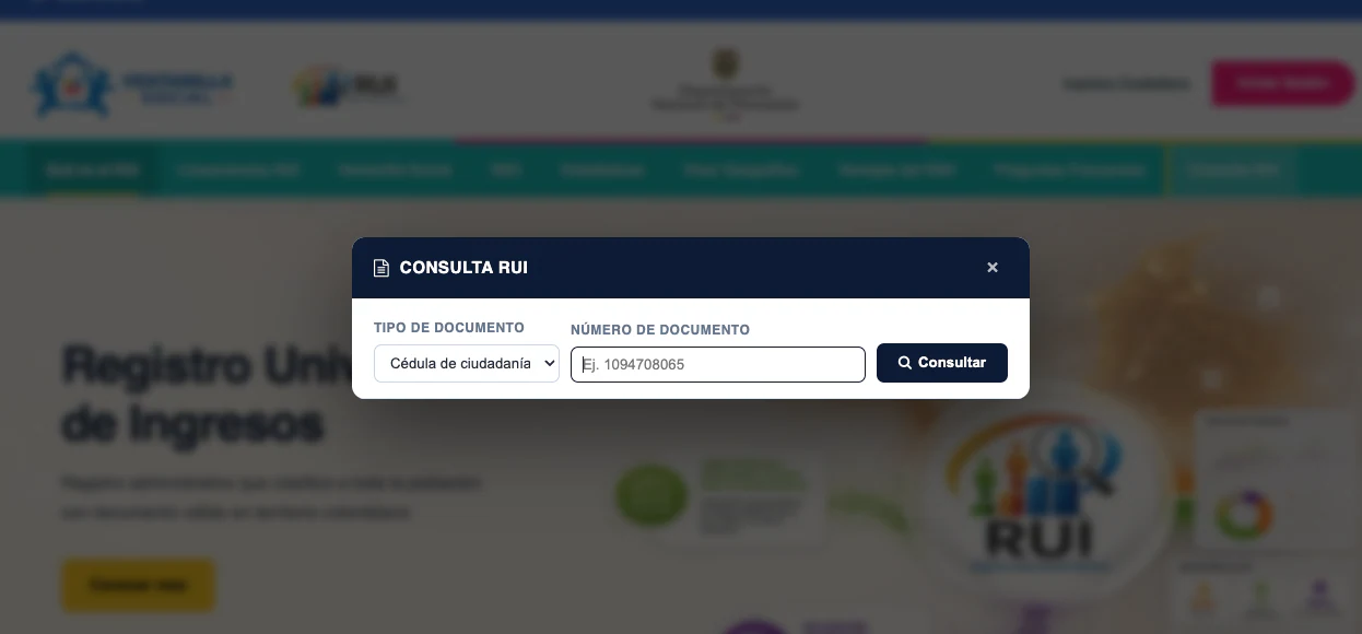 Formulario Consulta RUI con selector de documento, número y botón Consultar